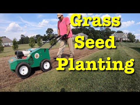 DIY Lawn RenovationPantsing Rental Equipment
