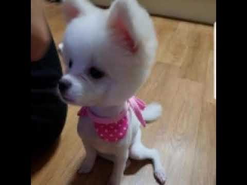[TJ노래방라운지] 너를보내고 - 윤도현밴드