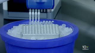 Celebrity Single Cell Gene Expression LT Protocol v3.1 | Transfer GEMs Profile