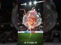 Powerful shot #shorts #ai #aivideo #aishorts #football #footballer #premierleague #yotutubeshorts