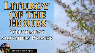 Divine Office 9.2.26 | Wednesday Morning Prayer | Lauds