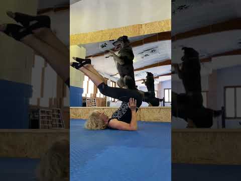 Woman is doing yoga poses with her dog!