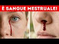 Le mestruazioni possono verificarsi in qualsiasi parte del corpo, ma perché?