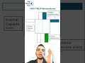 High-yield Neuroanatomy for USMLE🔥🧠