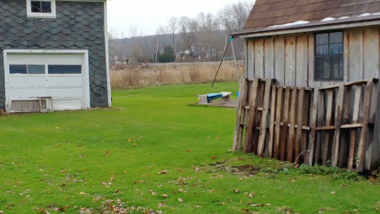 What's in our yard - YouTube