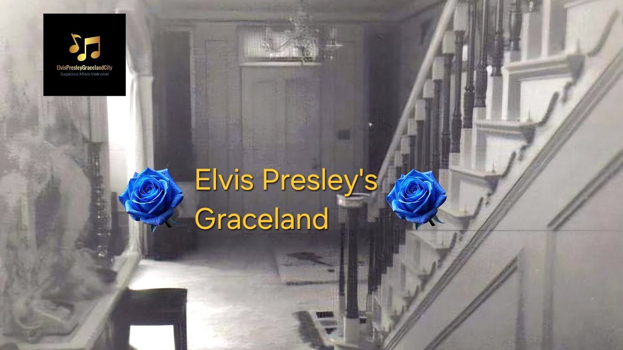 15 Minutes of Very Rare Elvis Graceland Footage from the 1950's 👌 🎶
