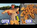 Huge Catfish On Jug Lines (Catch * Cook) Fried Fish , Shrimp Rice and Boiled Shrimp