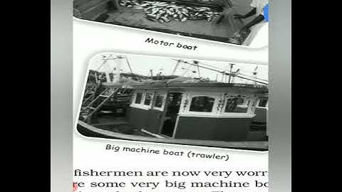 THE FISH TALE- (CLASS 5 MATHEMATICS)