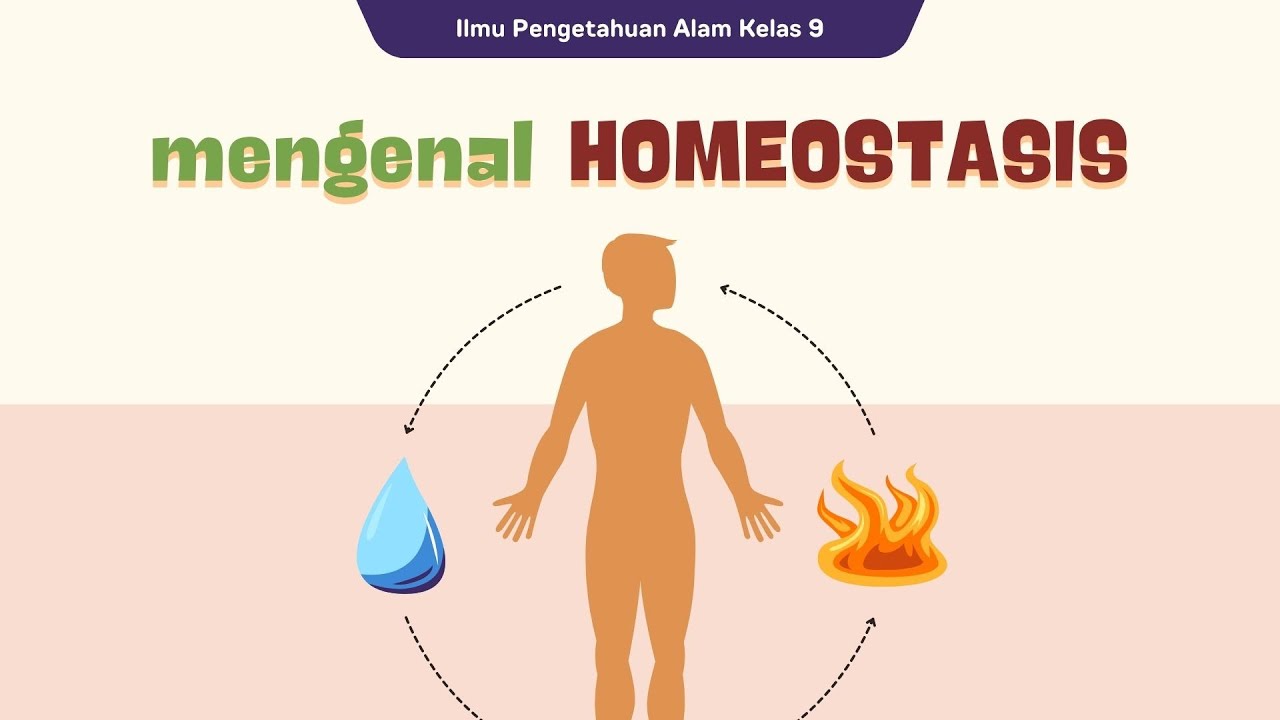 Homeostasis : Pengertian, Mekanisme, Faktor, dan Contohnya #homeostasis  #organisme #sistemtubuh