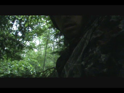 Joel's Black Bear Hunt