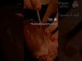 كيف شخصي المفضل يعامل قلبي هل الفترة