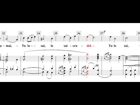Tu lo sai(당신은 알고 있네) / Giuseppe Torelli-for Soprano