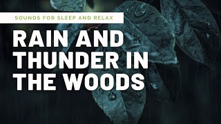 Rain with thunder in the woods for deep sleep in 10 minutes and for better relaxation.