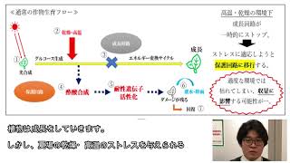 スキーポン・アグリ | 商品紹介 | タキイ農業資材オンライン