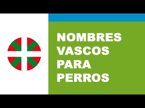 Nombres vascos para perros hqdefault