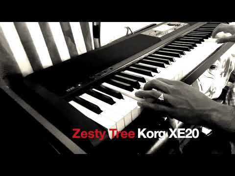 Korg XE20 Cumbia,