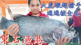 東石漁港丨黑虎蝦一公斤1X00一隻不讓被全買了!丨當季大松鯛那雪白的肉質吃起來就是舒服丨Cheap Seafood Auction in Chiayi Dongshi Fishing Port