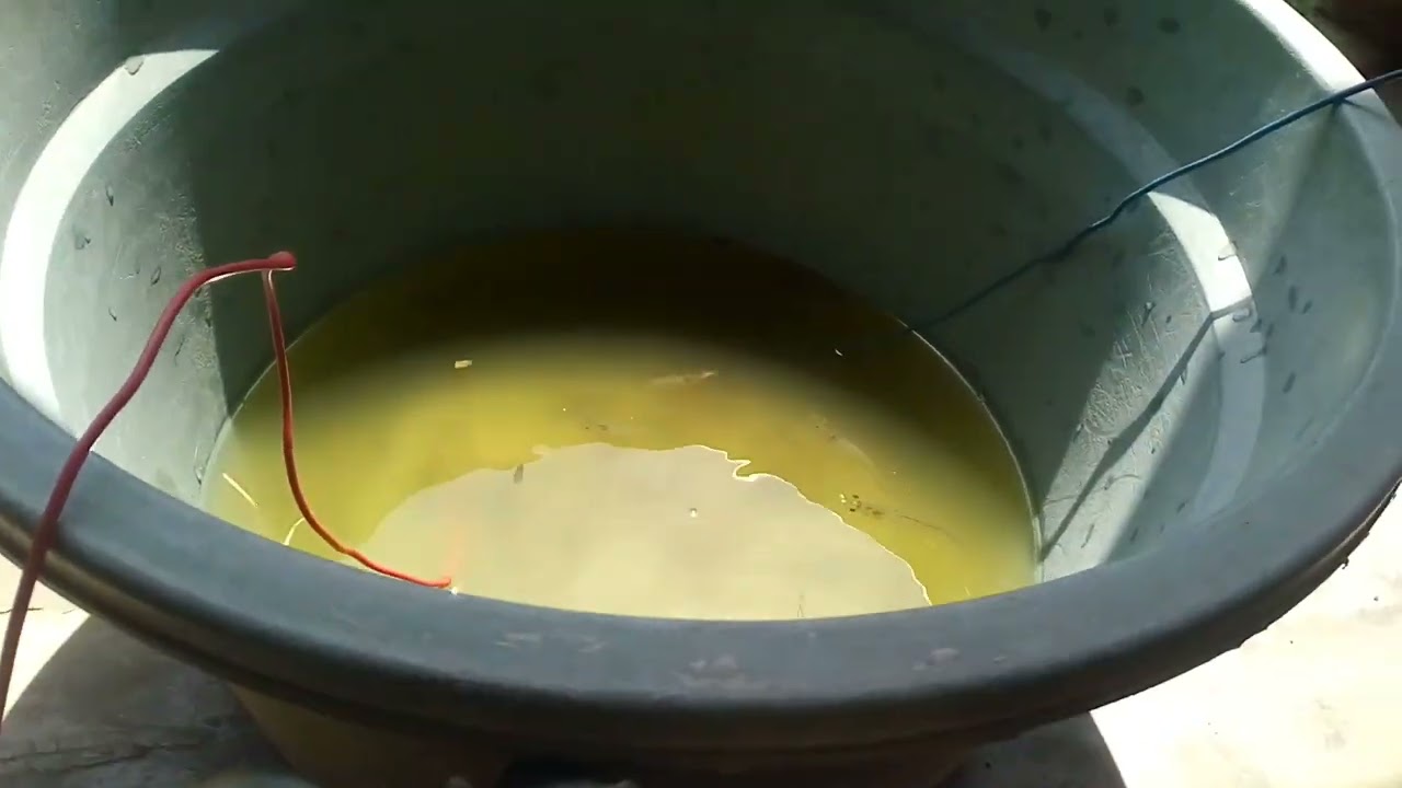 TES STRUM PAC KE AIR LAUT MURNI.