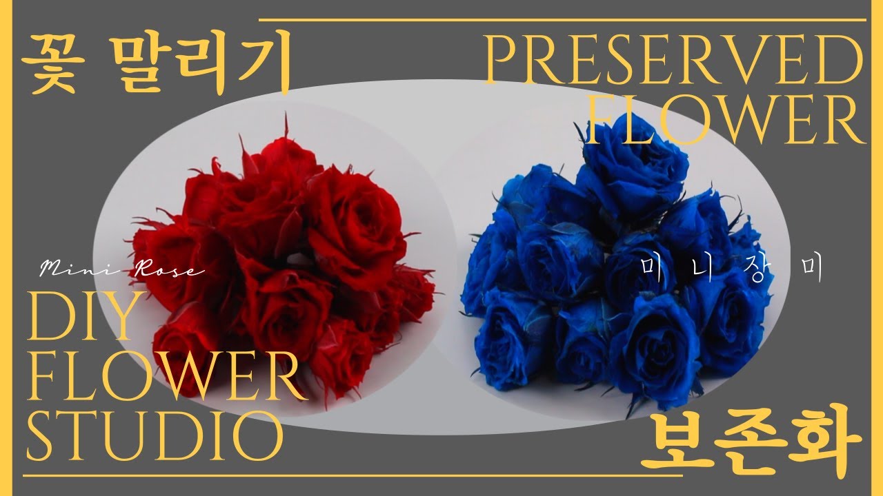 [Preserved Flower] 보존화 만들기 ! 미니 장미 프리저브드 플라워 ! YouTube