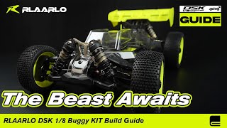 The Beast Awaits:RLAARLO DSK 1/8 Buggy KIT Build Guide