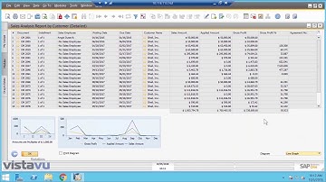 SAP Business One Dashboard Overview