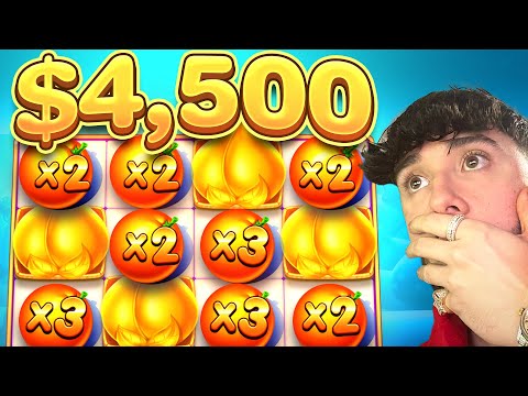 Experience Premium Online Gambling in English at RollXO Casino in New Zealand