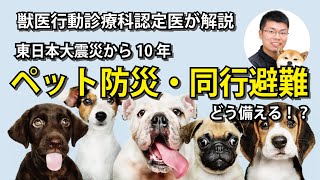 ペット防災・愛犬との同行避難に備える。命を守るための飼い主の責任とは？［パピークラス｜オンライン］