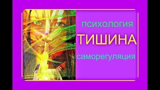 Видео ТИШИНА.... и отсутствие информации. (автор: Бодрый Добрый день)