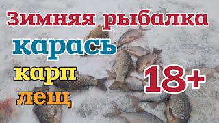 Зимняя рыбалка в Московской области. Карп. Карась. Подлещик. Декабрь 2023.