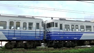 115系新潟N28+N21編成　信越本線普通421M