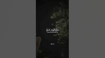 تلاوة بصوت ماجد العماري