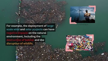 Econ Senior Capstone - Video Summary