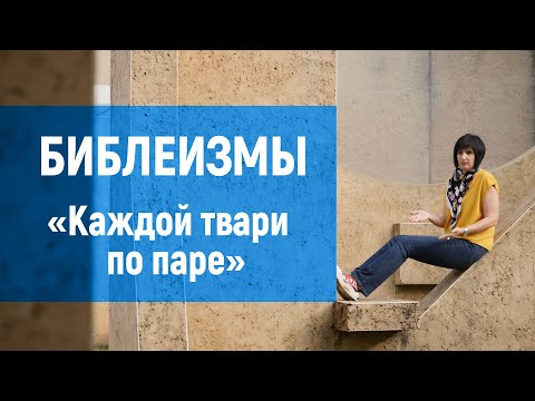 Каждой твари по паре