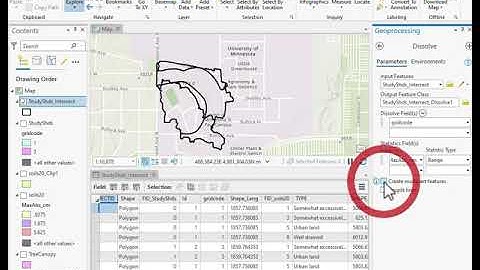 Dissolve ArcGIS Pro aggregate