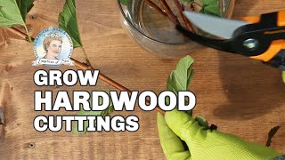 How to Root Hardwood Cuttings | Fall Propagation Tips