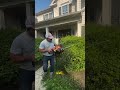 Satisfying Gardening Work🌳#garden #satisfying #cleaning #grass #lawn #viral #fyp #trending #830