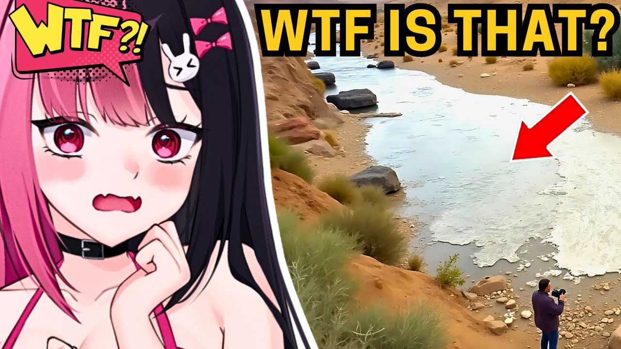 Самые безумные моменты природы, когда-либо снятые на камеру | Реакция Марши