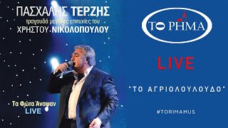 Το Αγριολούλουδο | Πασχάλης Τερζής - LIVE | Official Music Video | HQ