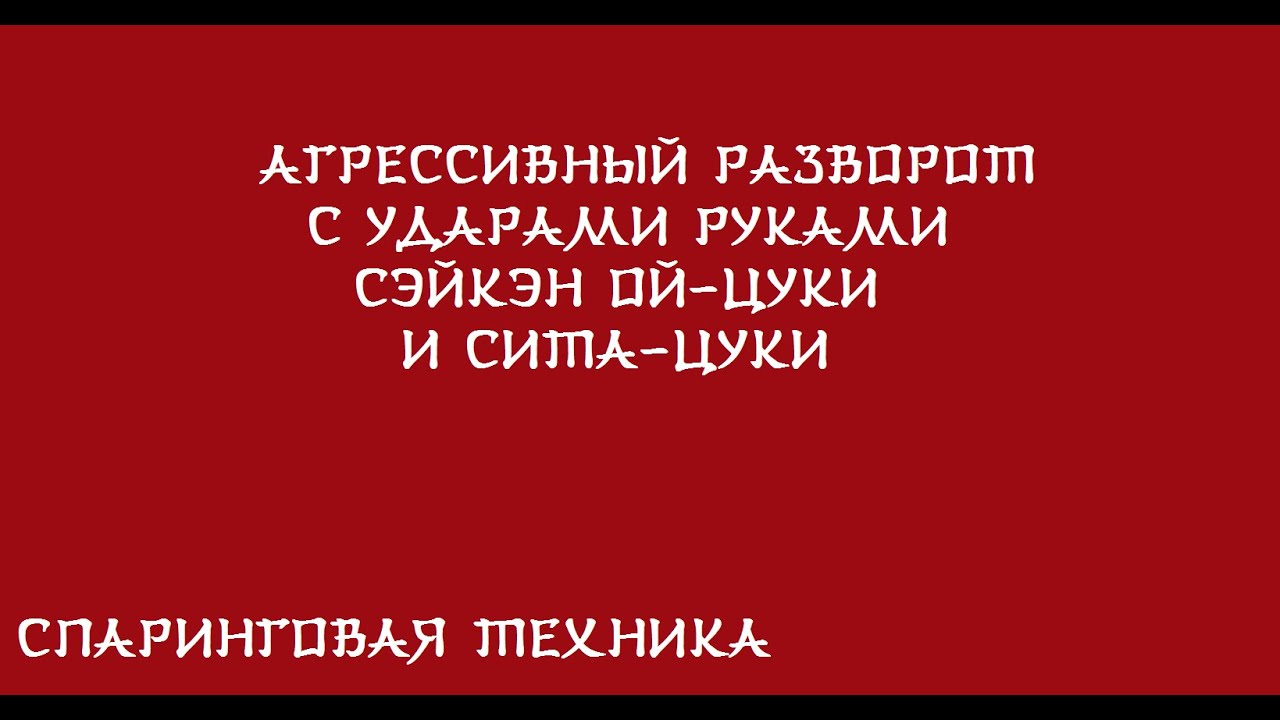 Агрессивный разворот с ударами руками сэйкэн ой-цуки и сита-цуки