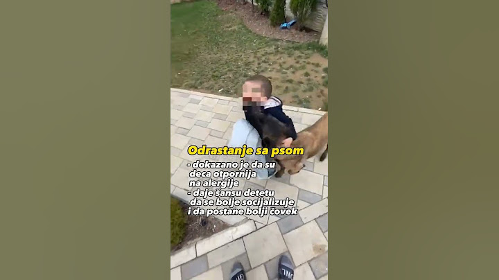 Dete i pas :) #mojpas #dresurapasa  #obukapasa #doglover #dogdad #balkan