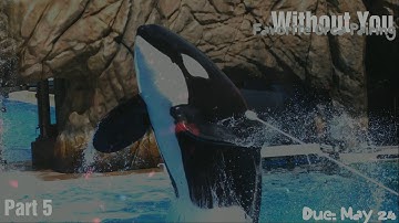 Without You | Favorite Orca Pairing MEP