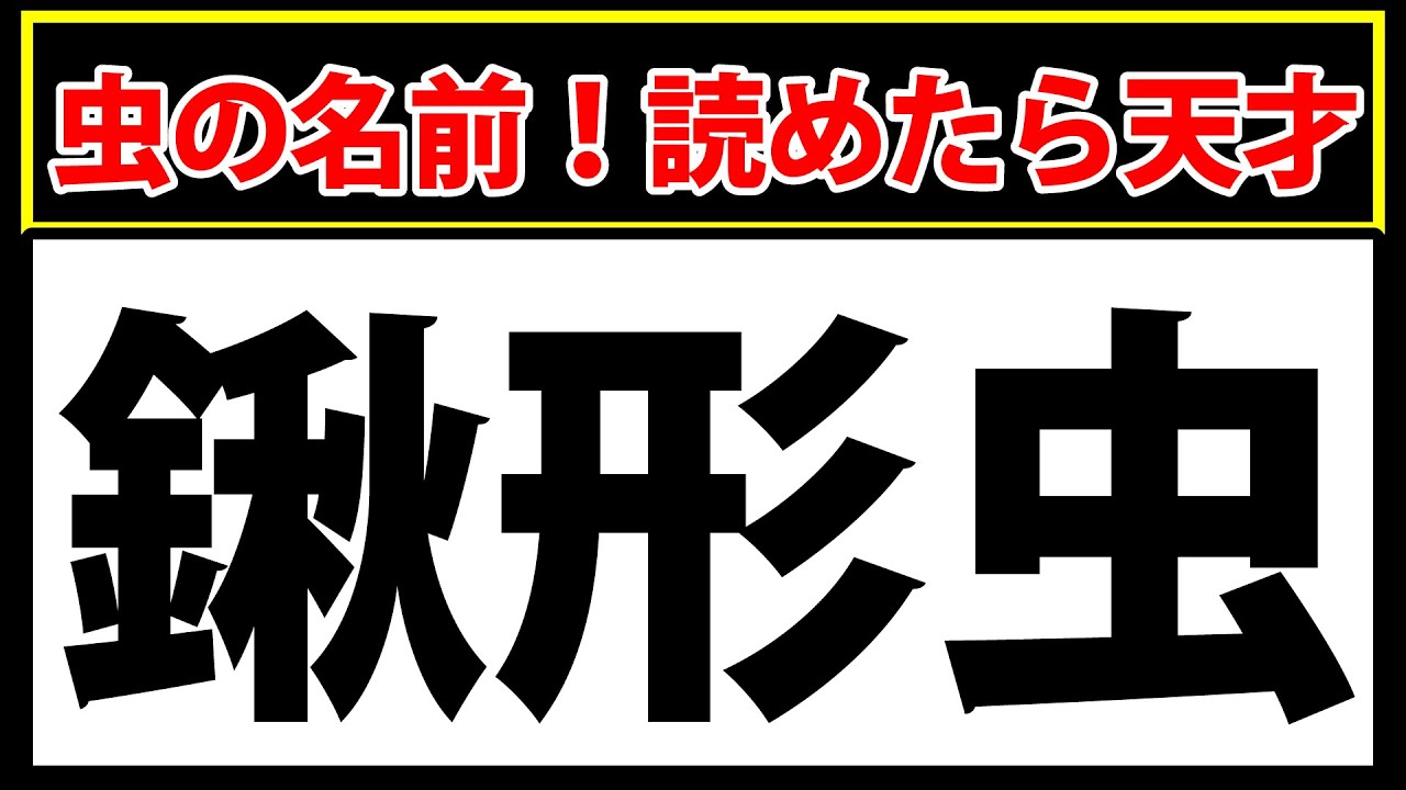 「鍬形虫」読めたら天才！虫の名前