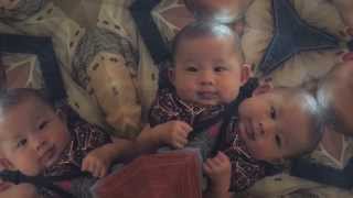 Baby HILO