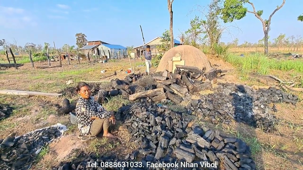 ដាំព្រលឹតឱ្យម៉ែមុំកូនមីងថៃយោនជូនឈើធ្វើរោងជំនួយបងស្រីចាន់ធី