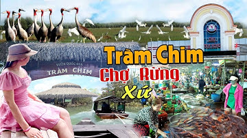 Mùa Nước Nổi 2024 Cảnh Tượng Chợ Sỉ Cá Đồng Chim Cò Rắn Chuột Xứ Rừng Tràm Chim Lớn Nhất Miền Tây