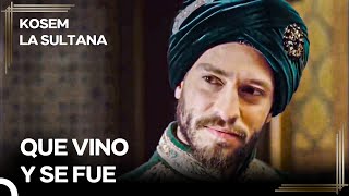 Espada Del Sultán Suleimán Para El Sultán Ahmed | Kosem La Sultana Episodio 21