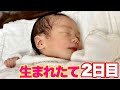 出産2日目の赤ちゃんと母体の様子