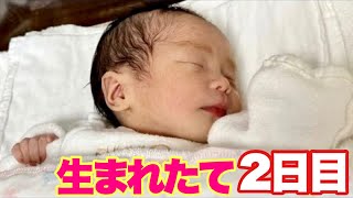 出産2日目の赤ちゃんと母体の様子