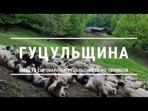 Гуцульщина - цікаві місця в Рахові та околицях