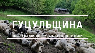 Гуцульщина - цікаві місця в Рахові та околицях